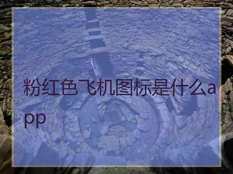 粉红色飞机图标是什么app