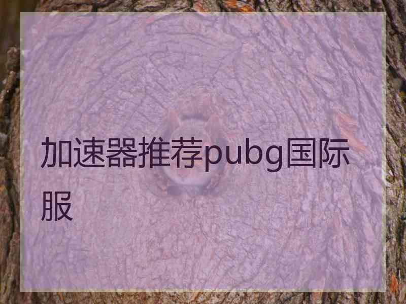 加速器推荐pubg国际服