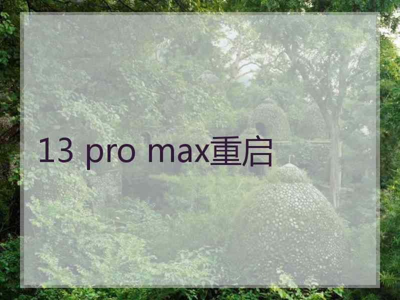 13 pro max重启