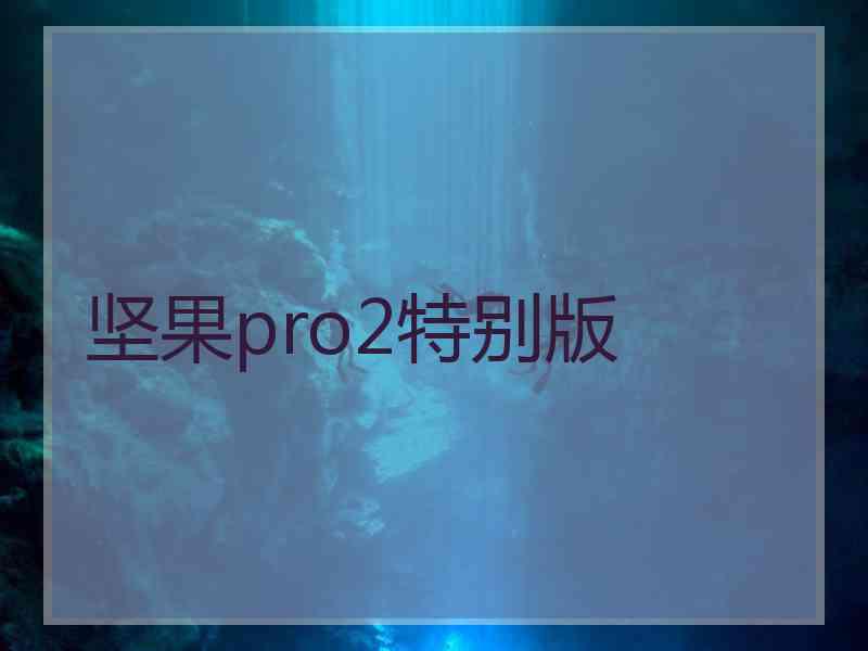 坚果pro2特别版