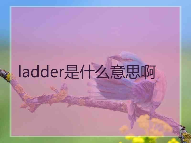 ladder是什么意思啊