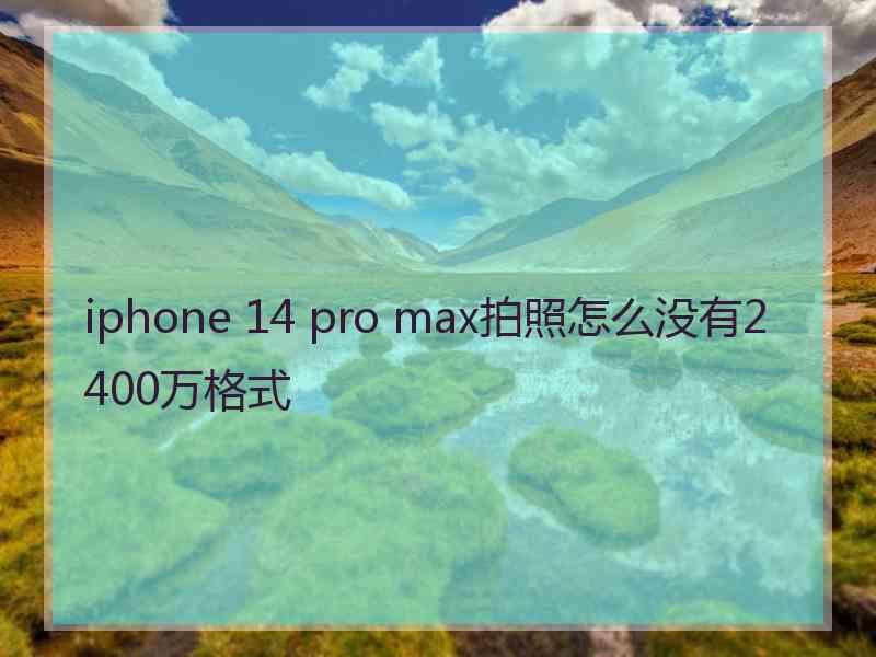 iphone 14 pro max拍照怎么没有2400万格式