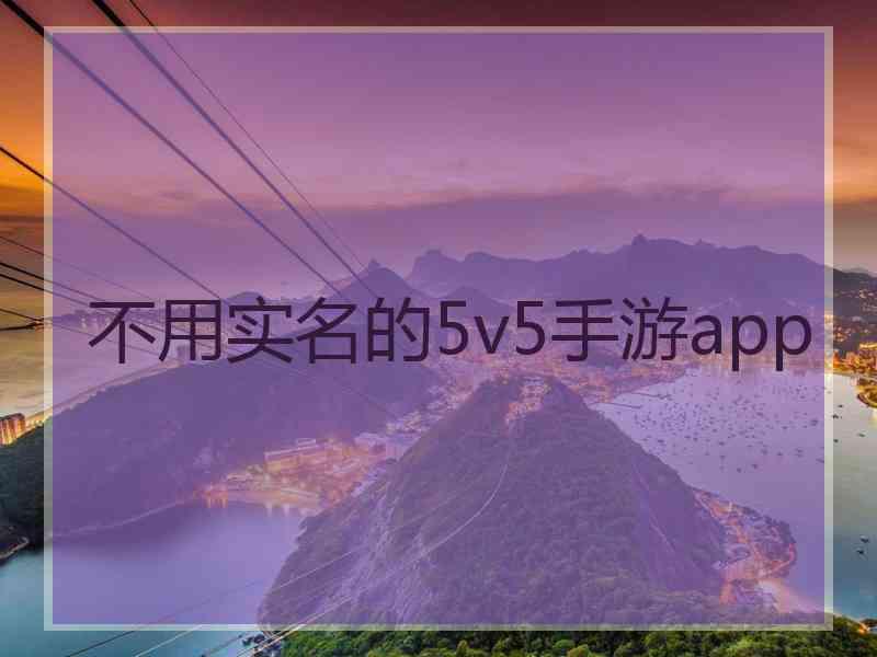 不用实名的5v5手游app