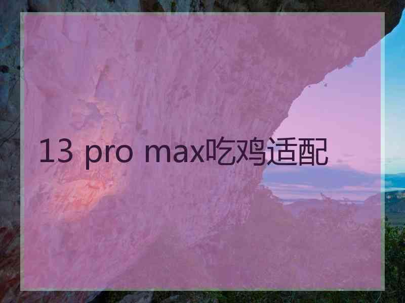 13 pro max吃鸡适配