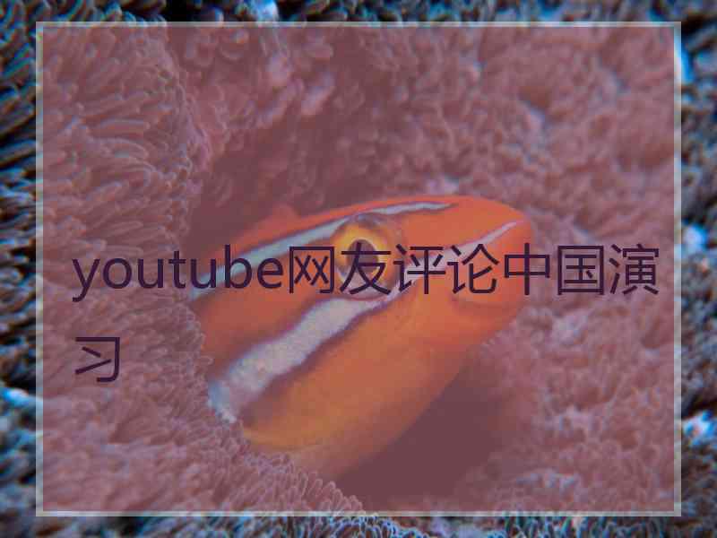 youtube网友评论中国演习