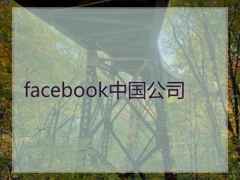 facebook中国公司