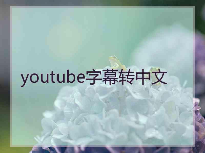 youtube字幕转中文