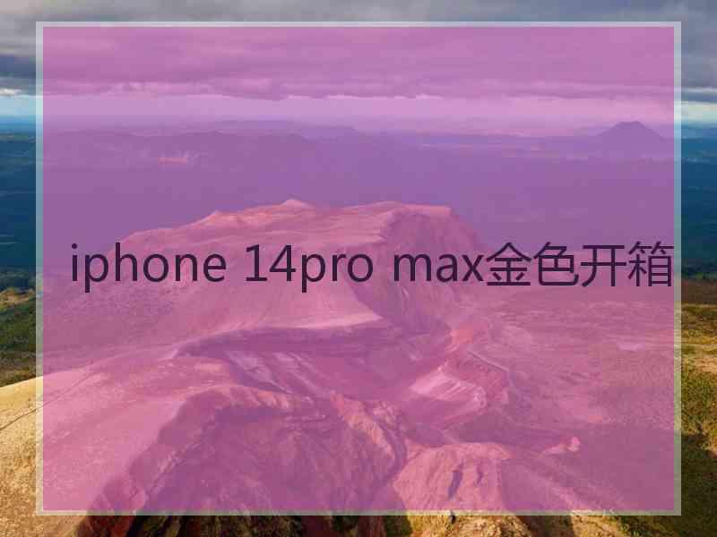 iphone 14pro max金色开箱