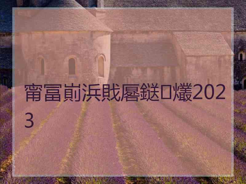 甯冨崱浜戝厬鎹㈢爜2023