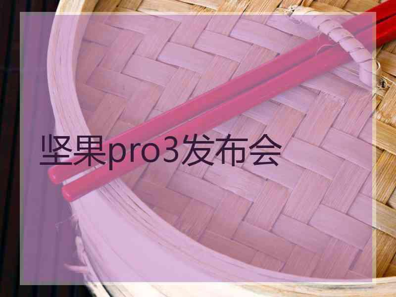 坚果pro3发布会