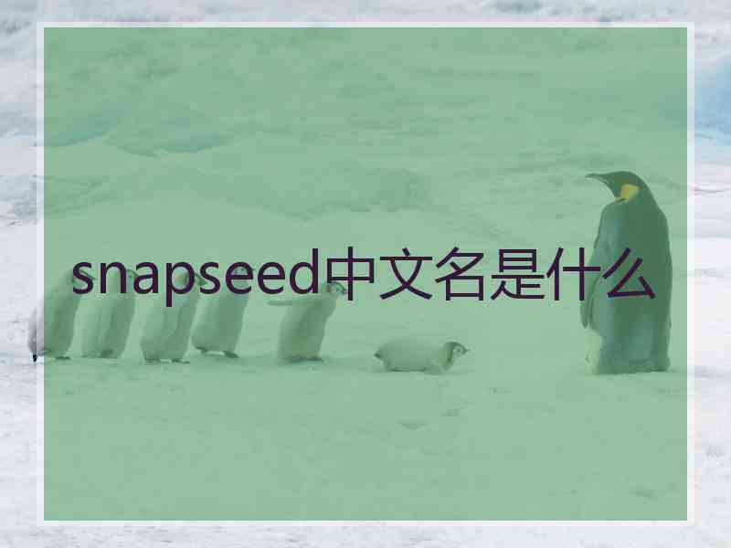 snapseed中文名是什么