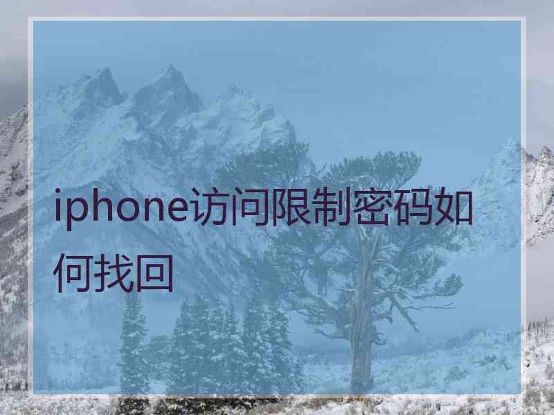 iphone访问限制密码如何找回