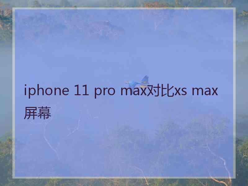 iphone 11 pro max对比xs max屏幕