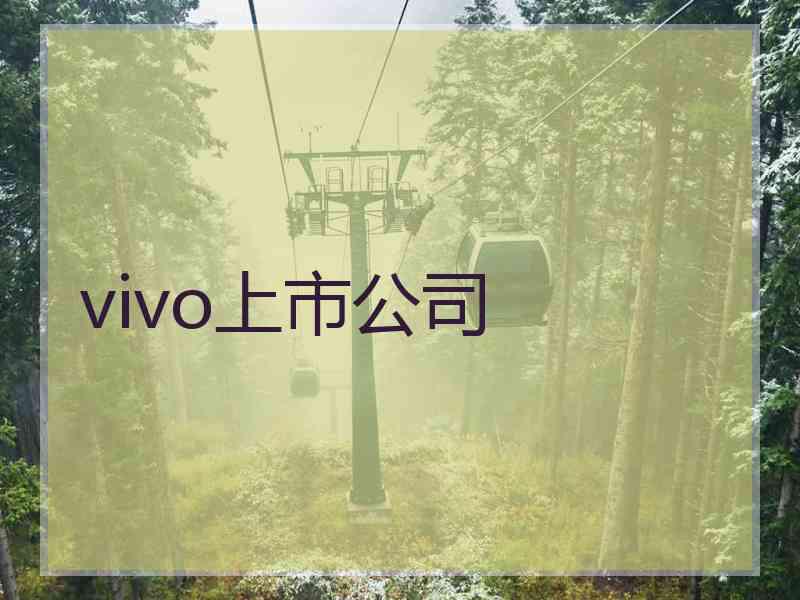 vivo上市公司