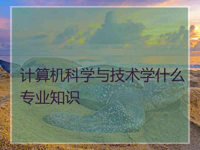 计算机科学与技术学什么专业知识