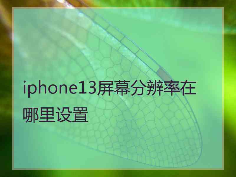 iphone13屏幕分辨率在哪里设置