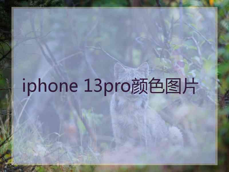 iphone 13pro颜色图片