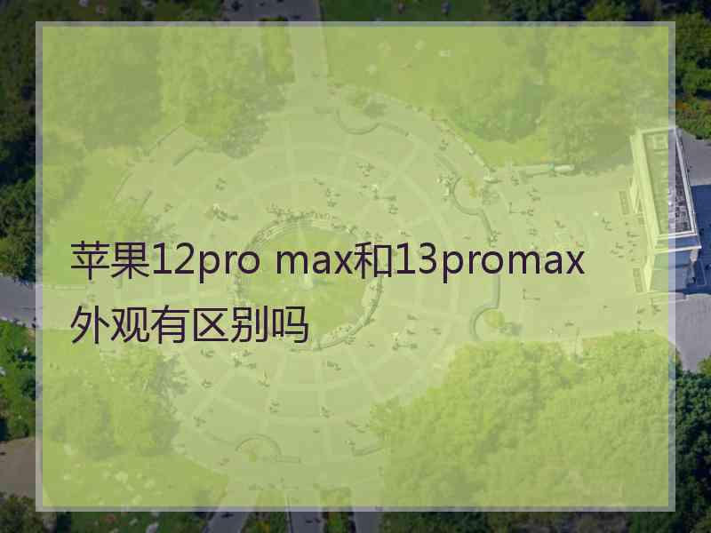 苹果12pro max和13promax外观有区别吗