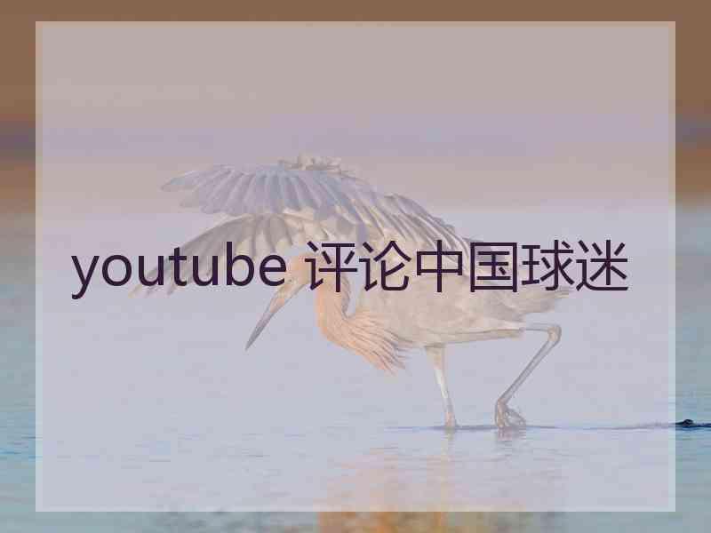 youtube 评论中国球迷