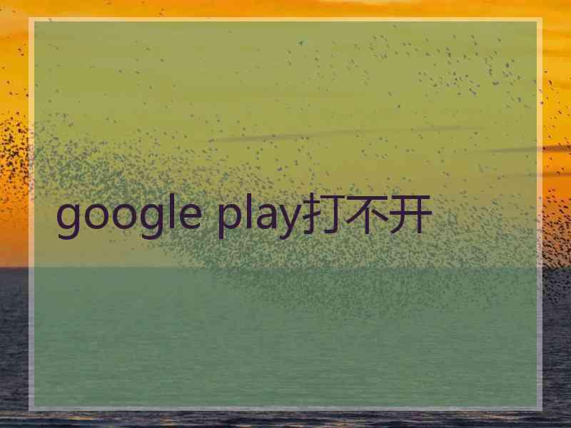 google play打不开