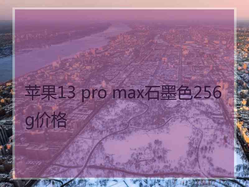 苹果13 pro max石墨色256g价格