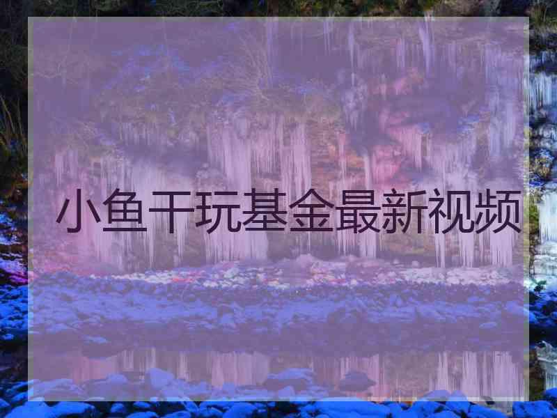 小鱼干玩基金最新视频