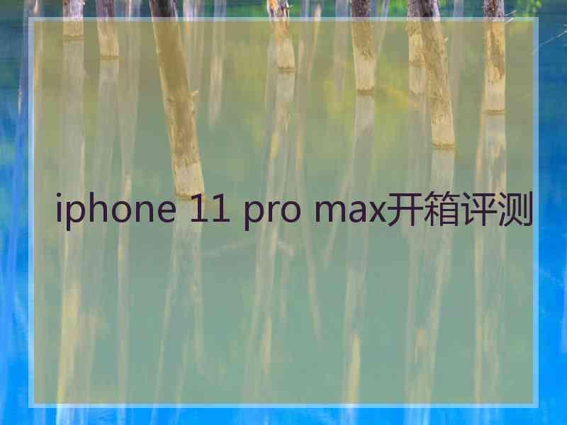 iphone 11 pro max开箱评测