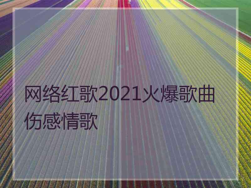 网络红歌2021火爆歌曲伤感情歌