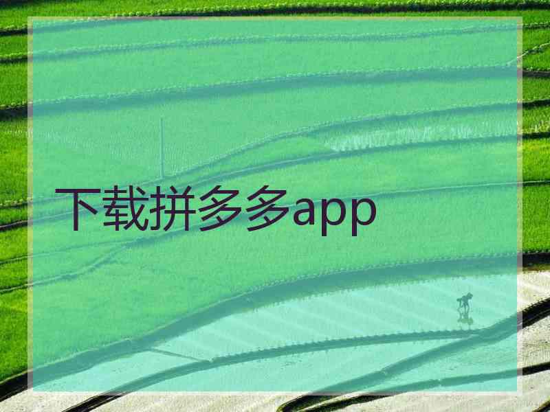 下载拼多多app