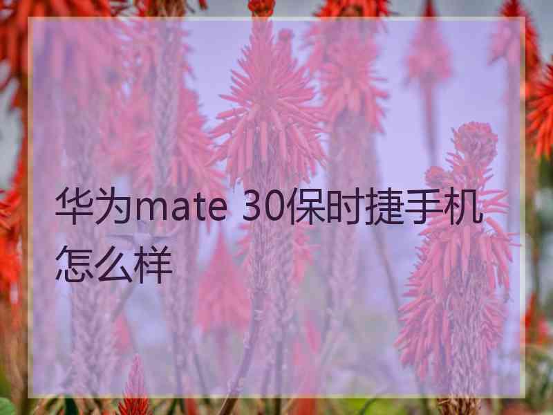 华为mate 30保时捷手机怎么样