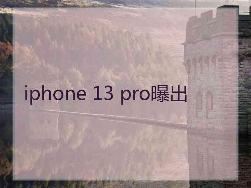 iphone 13 pro曝出