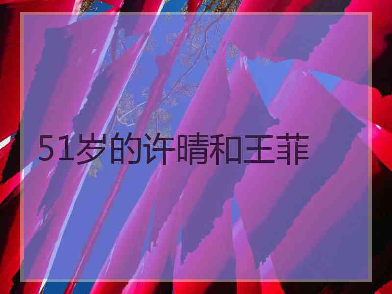 51岁的许晴和王菲