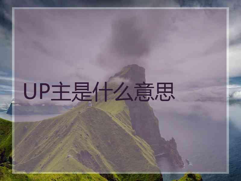 UP主是什么意思