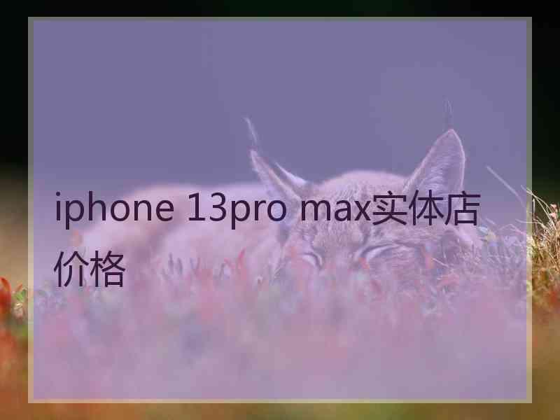 iphone 13pro max实体店价格