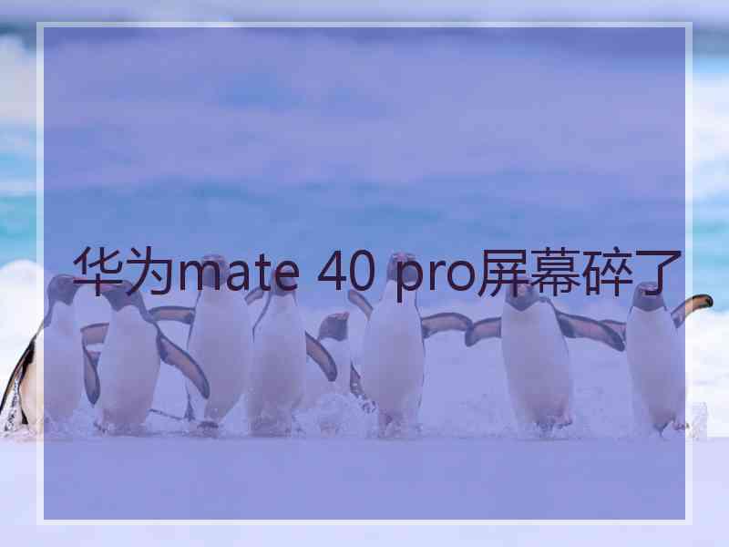 华为mate 40 pro屏幕碎了