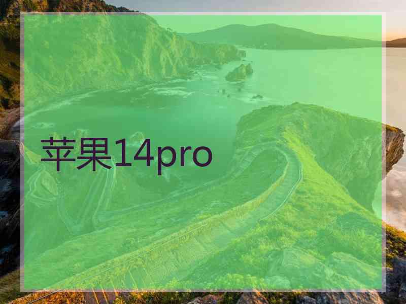 苹果14pro