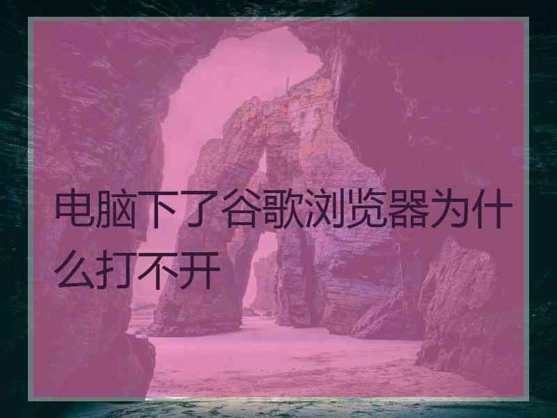 电脑下了谷歌浏览器为什么打不开