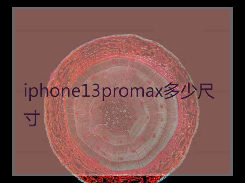 iphone13promax多少尺寸