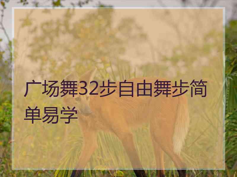 广场舞32步自由舞步简单易学