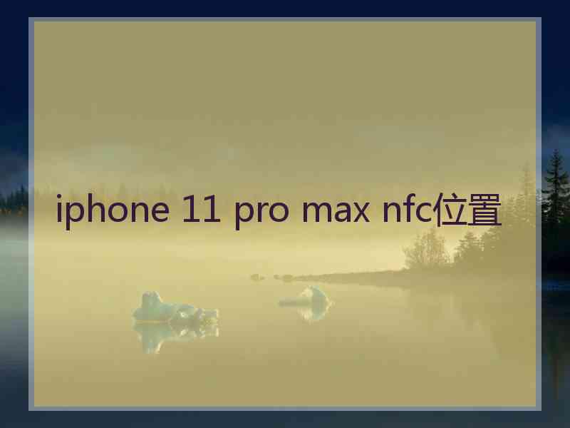 iphone 11 pro max nfc位置