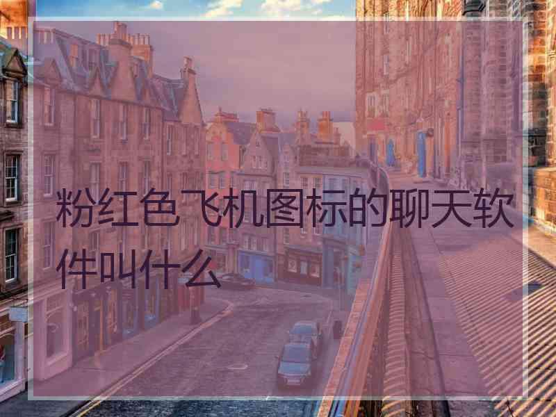 粉红色飞机图标的聊天软件叫什么