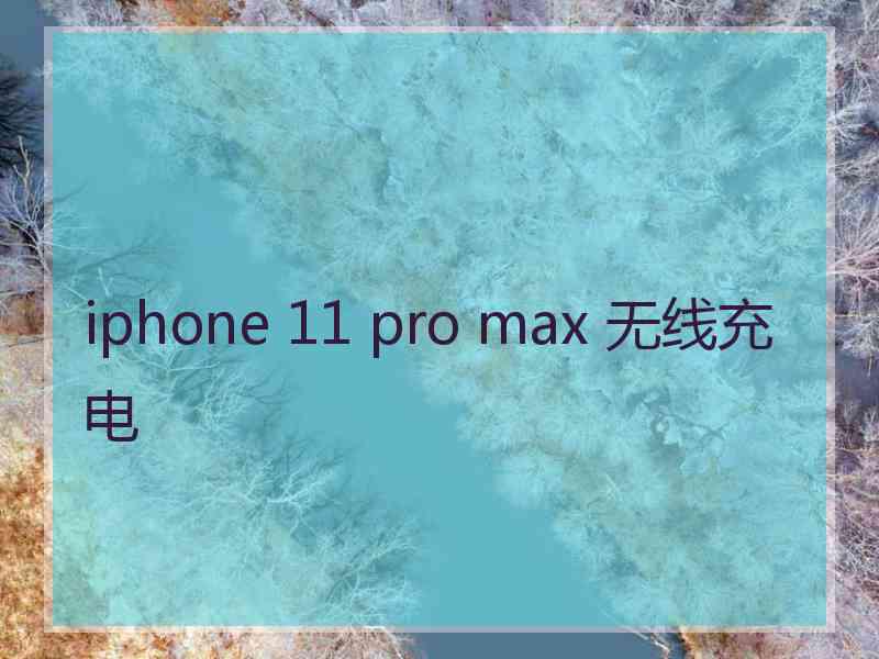 iphone 11 pro max 无线充电