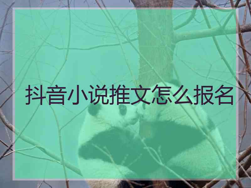 抖音小说推文怎么报名