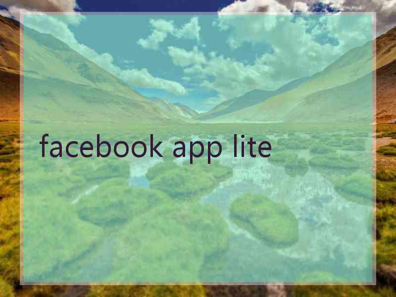 facebook app lite