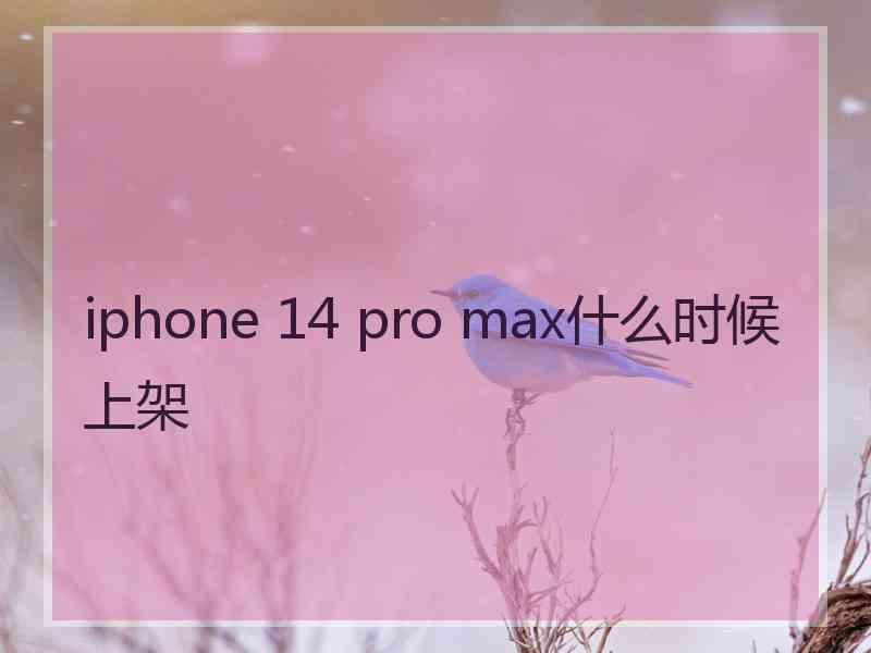 iphone 14 pro max什么时候上架