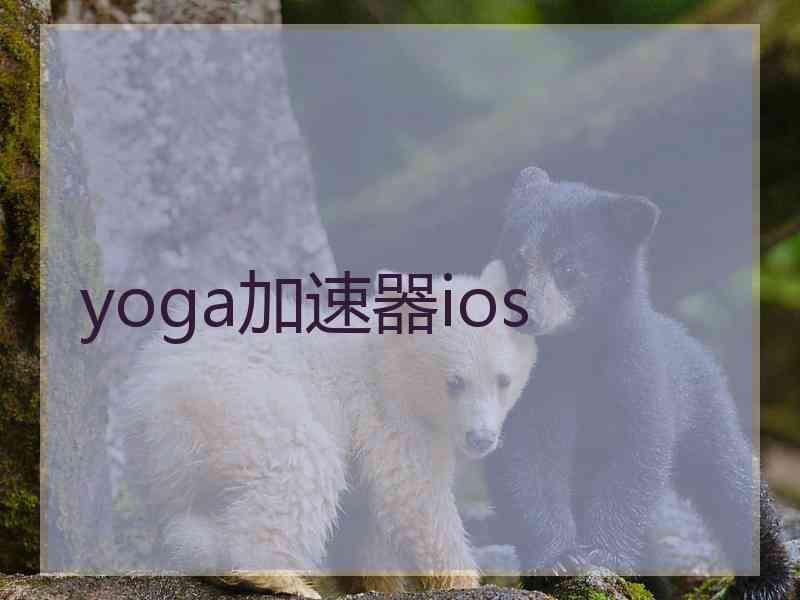 yoga加速器ios