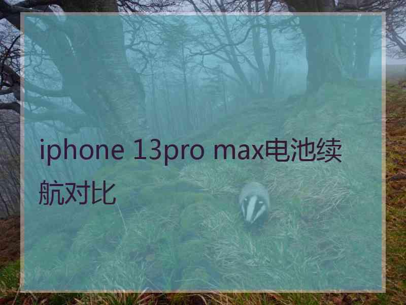 iphone 13pro max电池续航对比