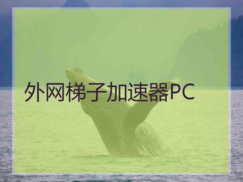 外网梯子加速器PC