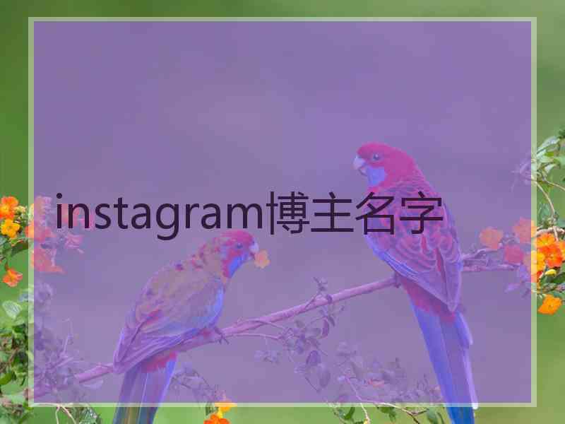 instagram博主名字