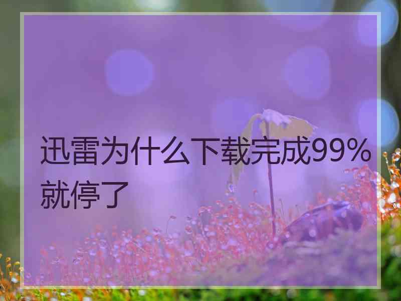 迅雷为什么下载完成99%就停了